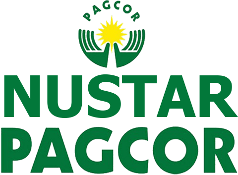 nustarpagcorlogin.net Logo